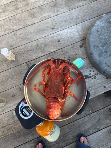 Customer photo review of COBB Wok