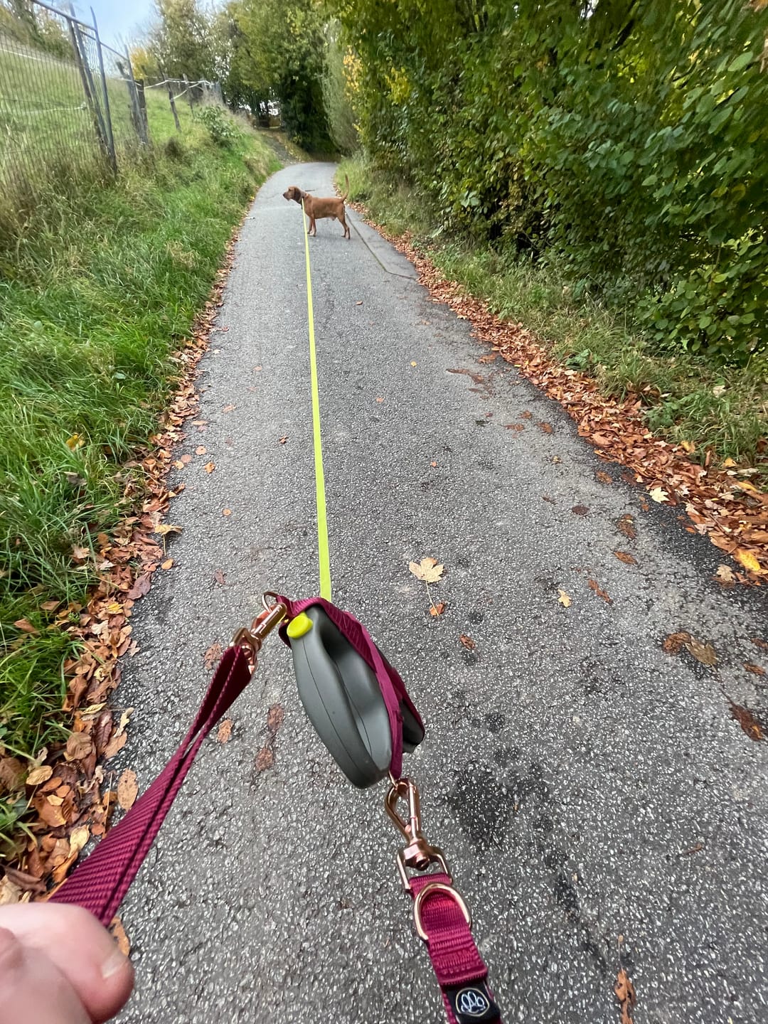 Customer photo review of Halfter  | Giant | AUSVERKAUF