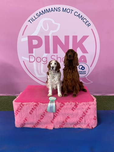 Customer photo review of CalmBed - Motverkar stress & hjälper mot ångest