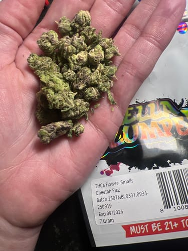Customer photo review of Greenhouse Smalls