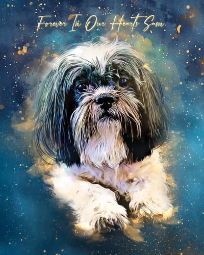 Customer photo review of The Celestial