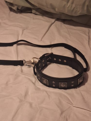 Customer photo review of 1.2m Billowthane® Combat Lead | Waterproof - Matte Platinum