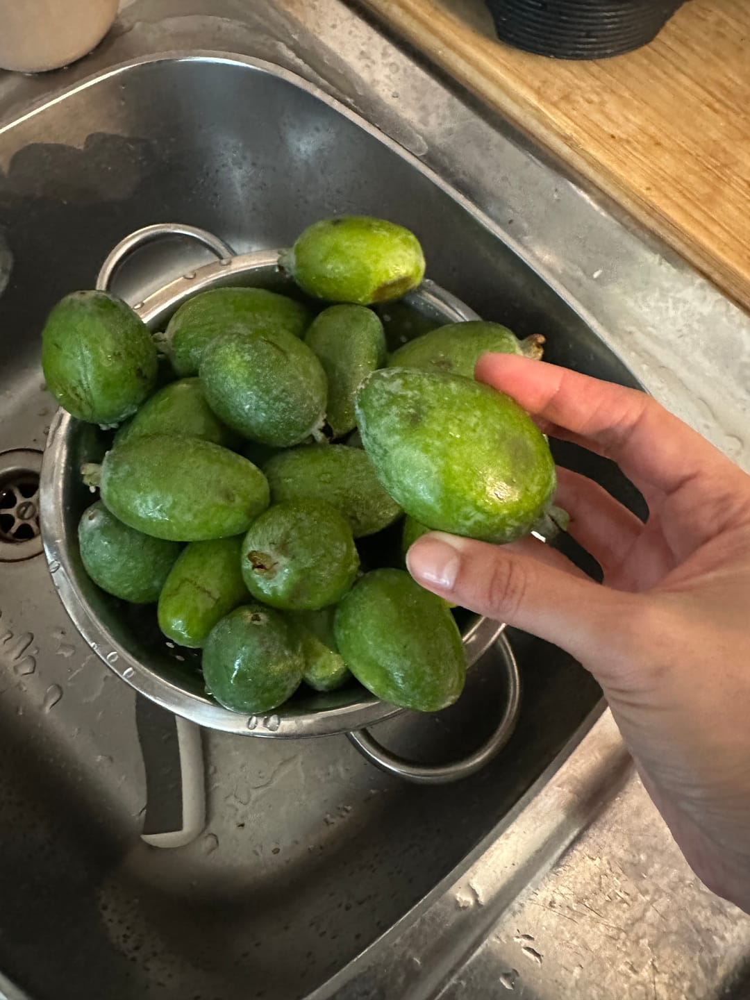 Customer photo review of Feijoa (brasilianische Guave) Bio