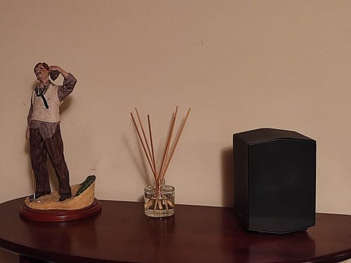 Customer photo review of Nordic Fjord Reed Diffuser