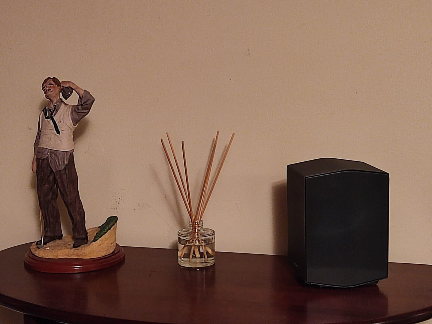 Customer photo review of Nordic Fjord Reed Diffuser