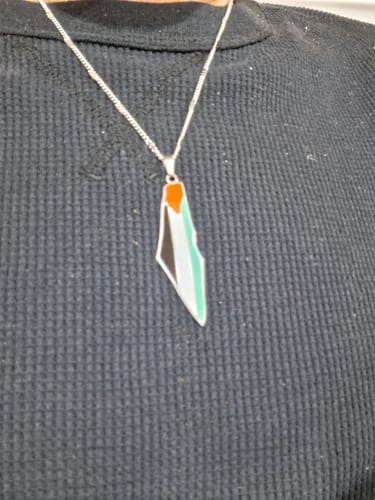 Customer photo review of Palestine Pride Map Necklace