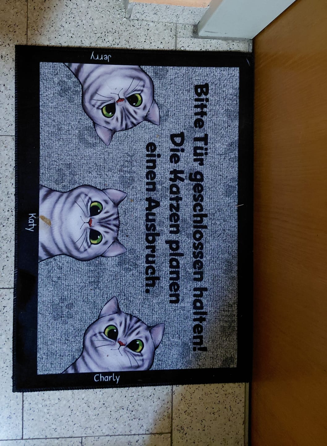 Customer photo review of Katzen planen einen Ausbruch - Individuelle Fußmatte