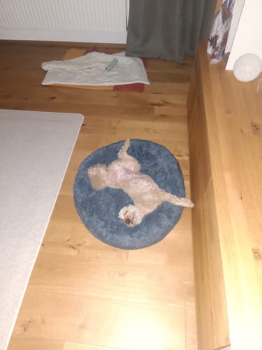 Customer photo review of Frischfutter für Energiebedarf von 276 kCal/Tag