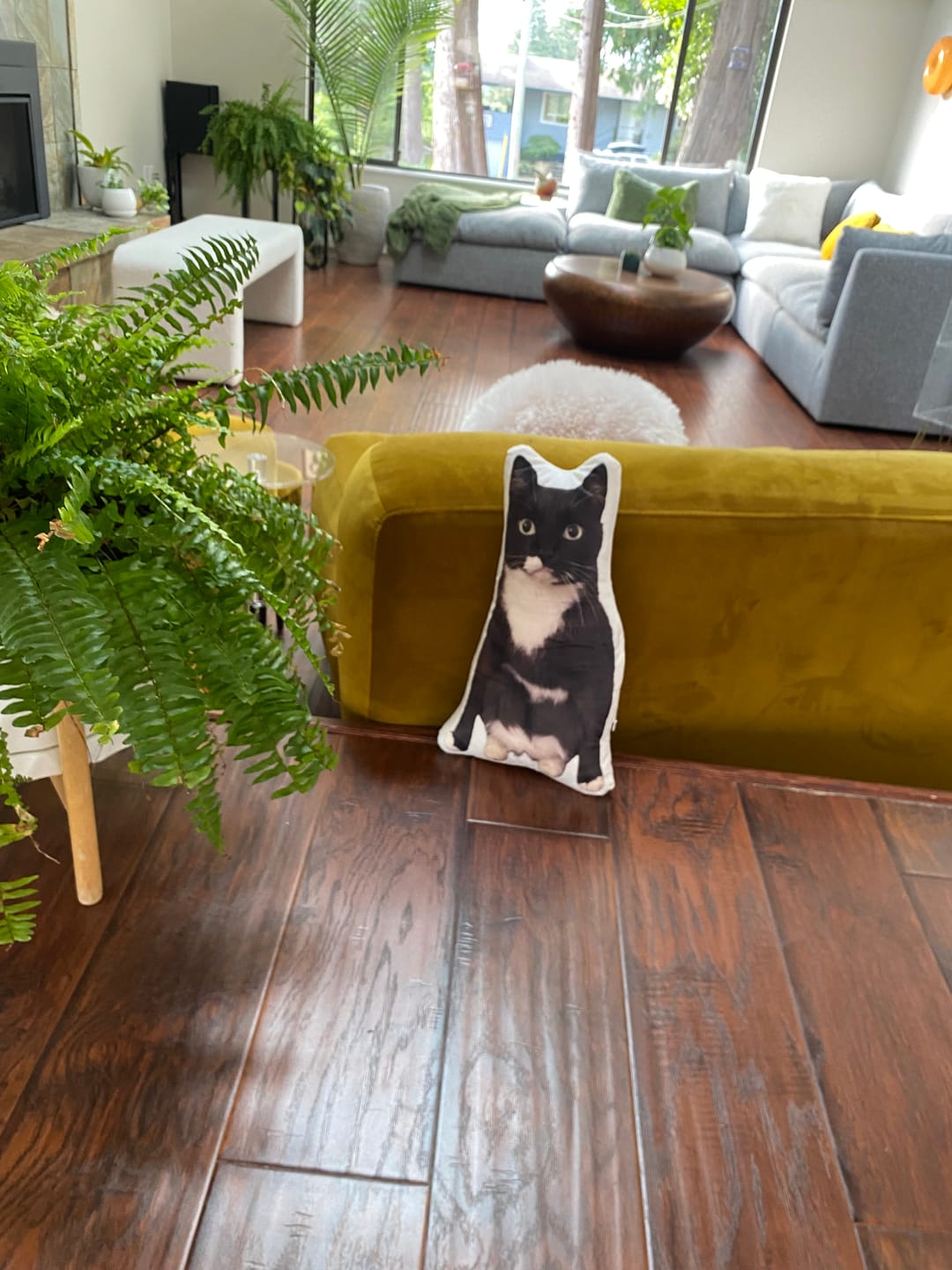 Customer photo review of Pet Pillow Looks Like Your Pet, Customize Dog Shaped Pillow with Pet Photo - ThePetPillow