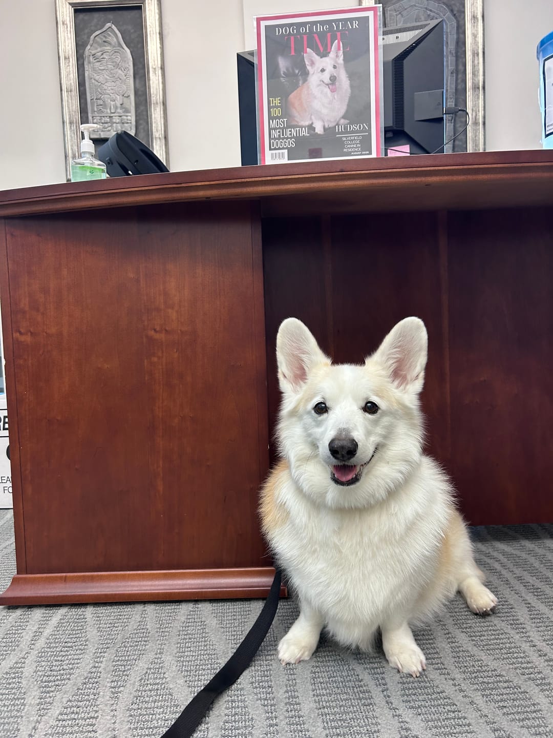 Customer photo review of Pet Portrait Magazine Cover