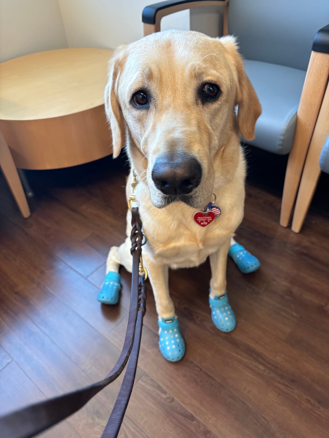 Customer photo review of WagWellie® Mojave Single