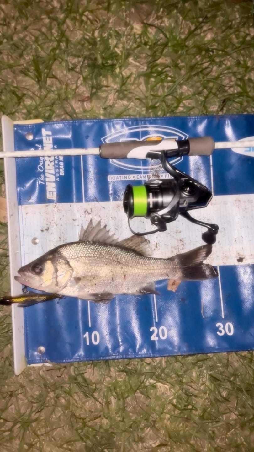 Customer photo review of DEATH SHAD