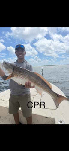 Customer photo review of Waterloo HP Lite