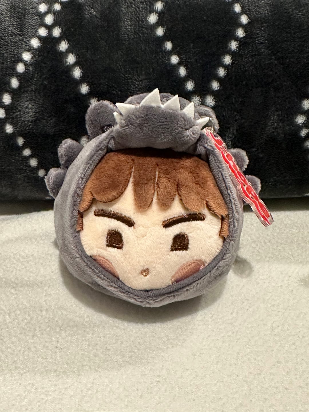 Customer photo review of BTS - 2025 BTS FESTA OFFICIAL MD BTS ISLAND: IN THE SEOM FACE KEYRING