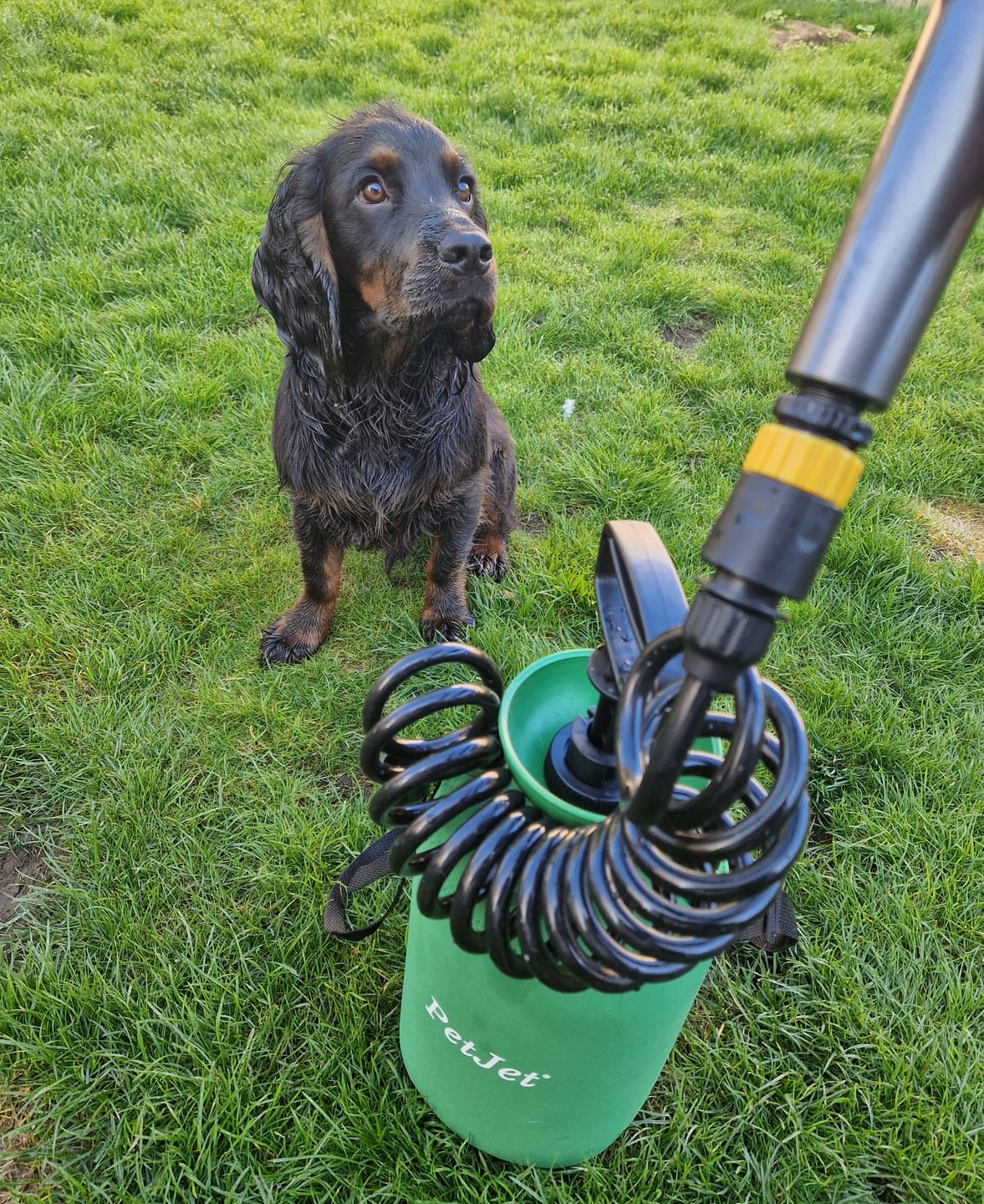 Customer photo review of PetJet 5 Liter Portable Tank Shower