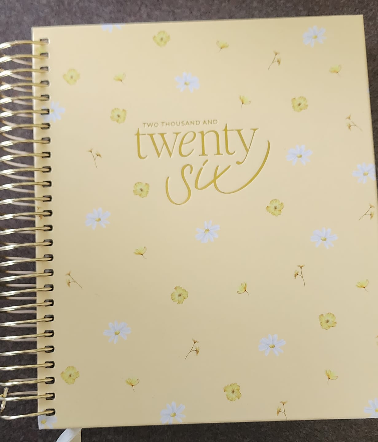 Customer photo review of 2026 Daily Planner - Butter Yellow