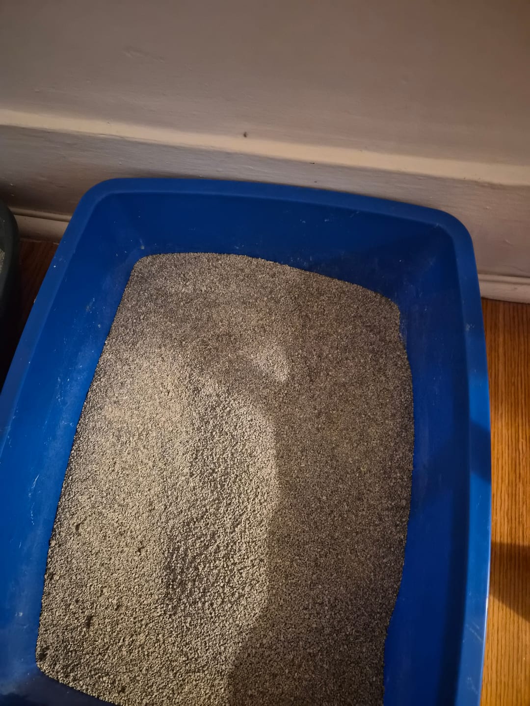 Customer photo review of Odour Buster - Litière pour chat
