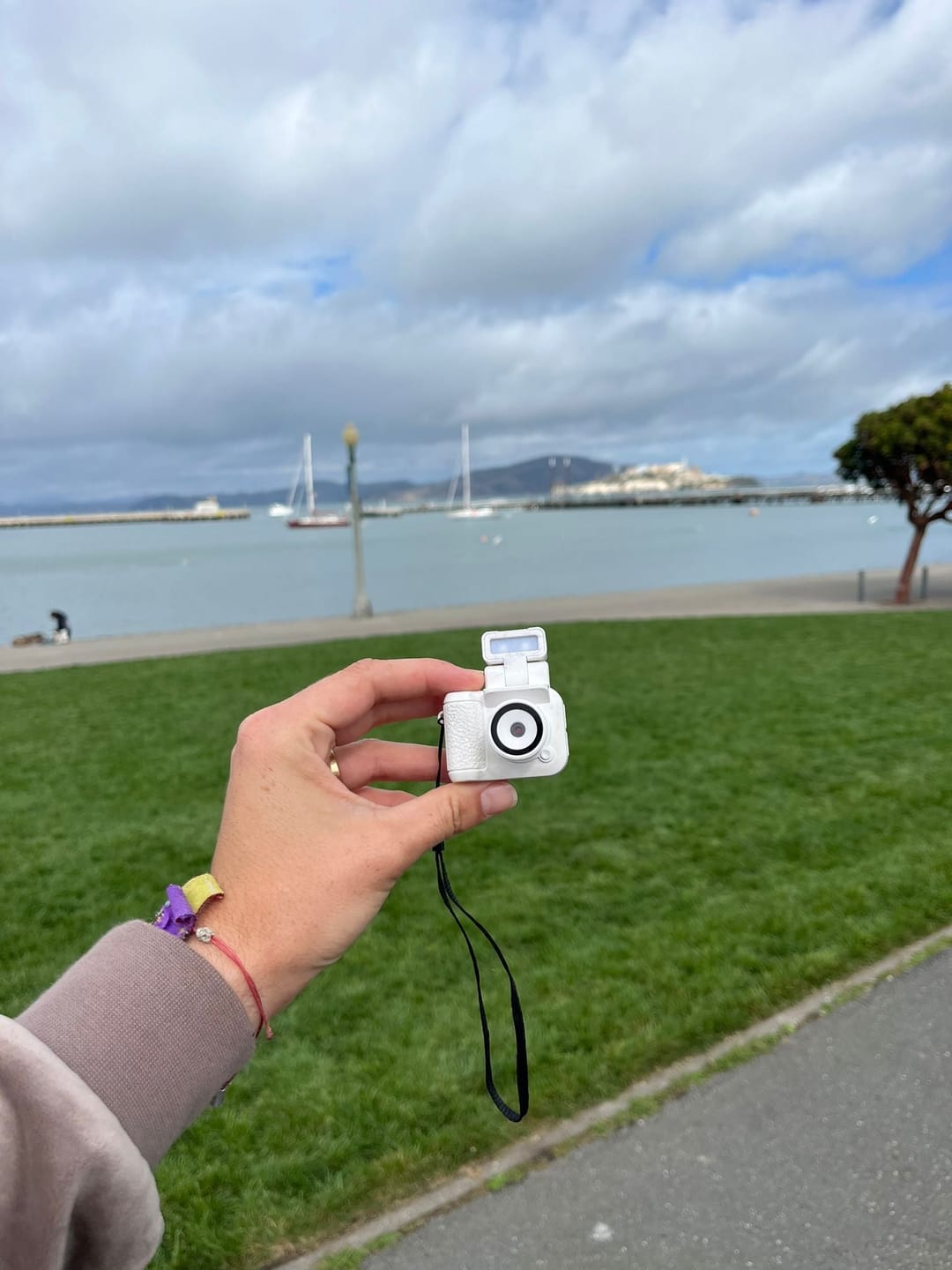Customer photo review of RetroShot™