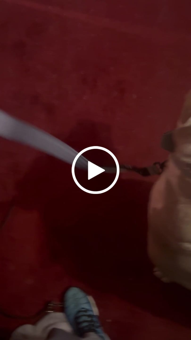 Customer video review of 1.4m Swivel Combat Lead | Anti-Tangle & Secure Clip - Metal Grey