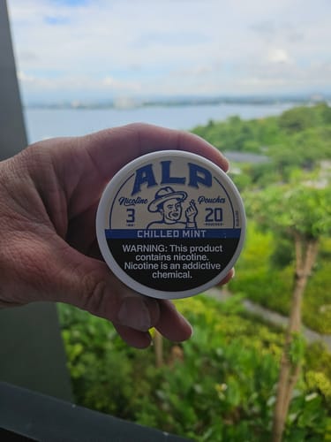 Customer photo review of Chilled Mint Nicotine Pouches