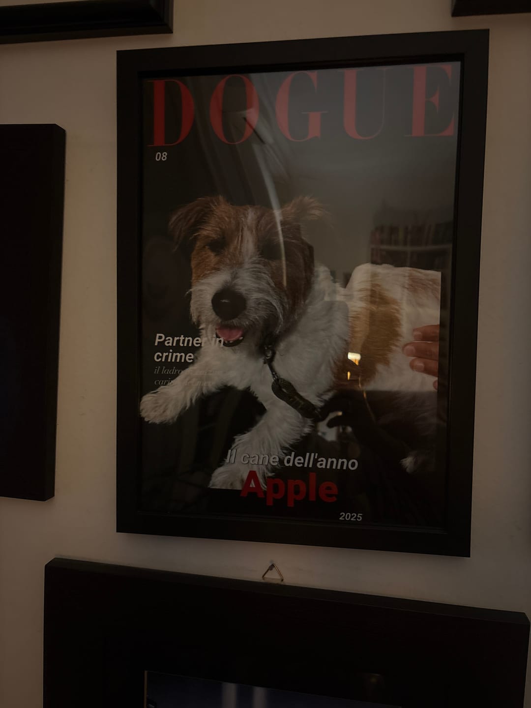 Customer photo review of Dogue - Poster personalizzato