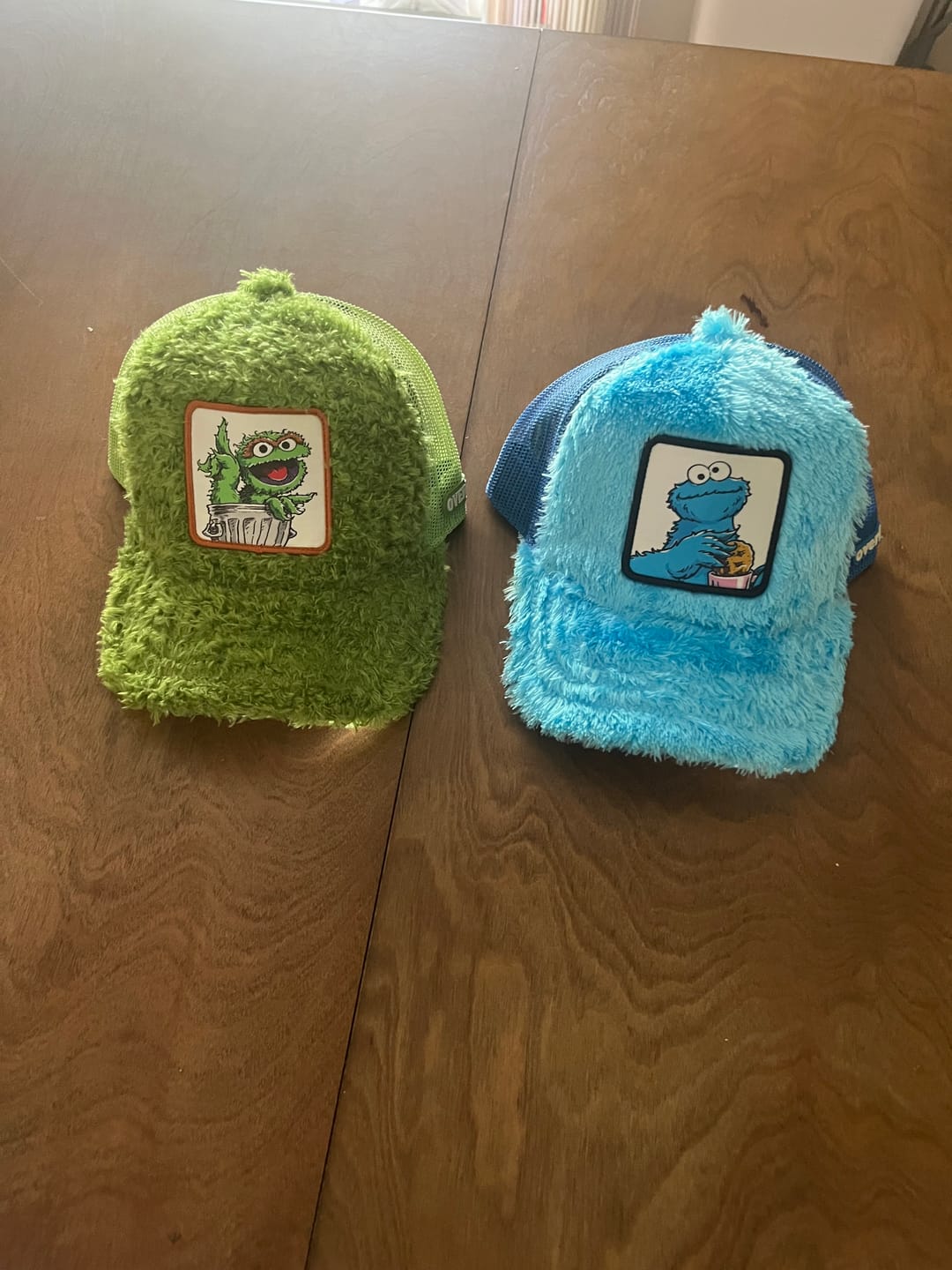 Customer photo review of OVERLORD X Sesame Street: Oscar The Grouch