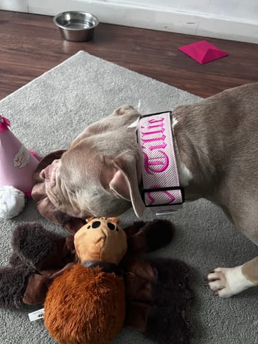 Tammy D. review of Free Personalisation image 1 out of 4