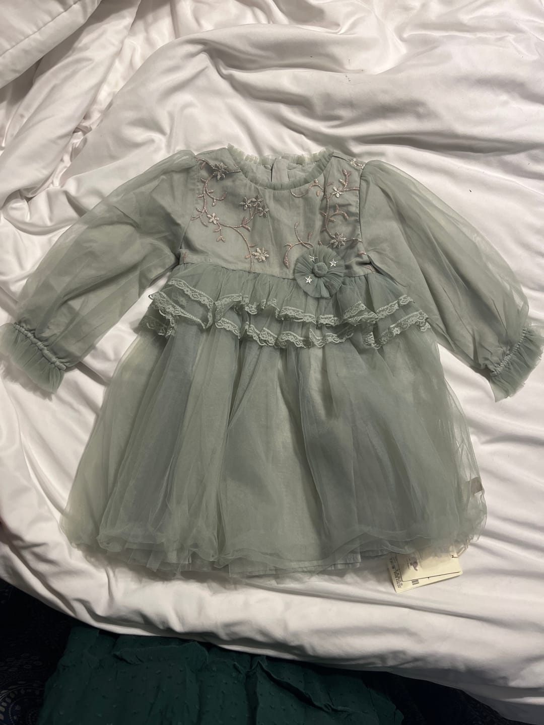 Customer photo review of Dave&Bella Toddler Girls Autumn Grey Green Mesh A-line Princess Dress