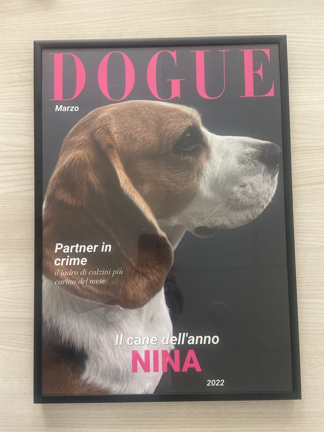 Customer photo review of Dogue - Poster personalizzato