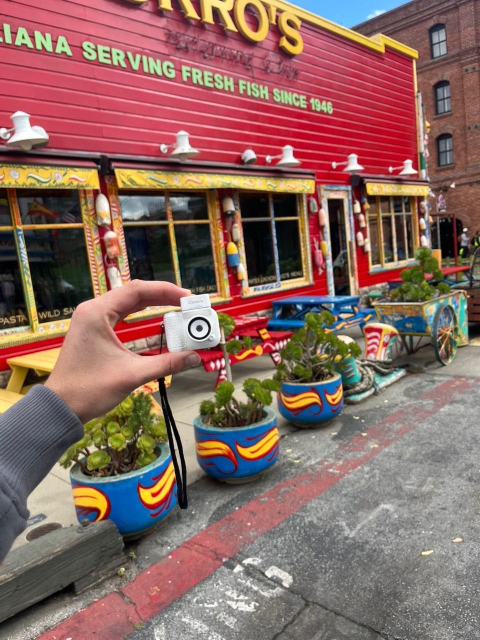 Customer photo review of RetroShot™