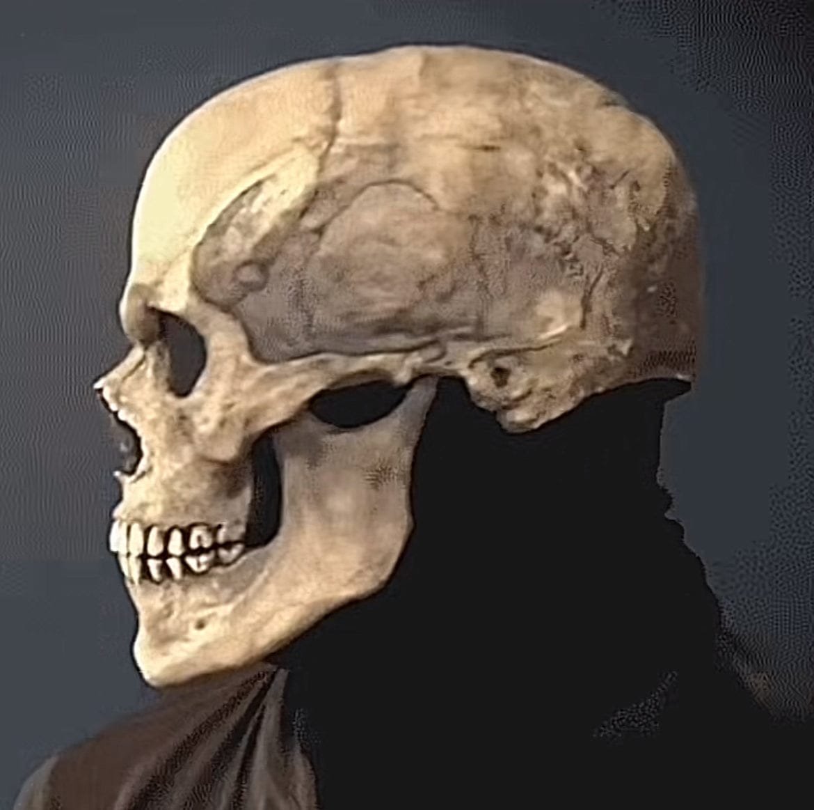 Customer photo review of Realistic Full Head Skull Mask with Movable Jaw - Unisex Halloween & Cosplay Accessory for Ultimate Spooky Experience