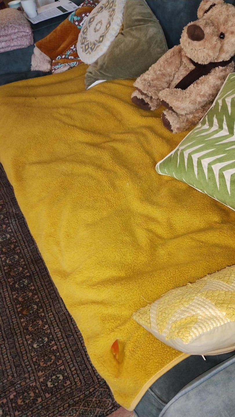 Customer photo review of Hushcover - Waterdichte Pluche Bankhoes