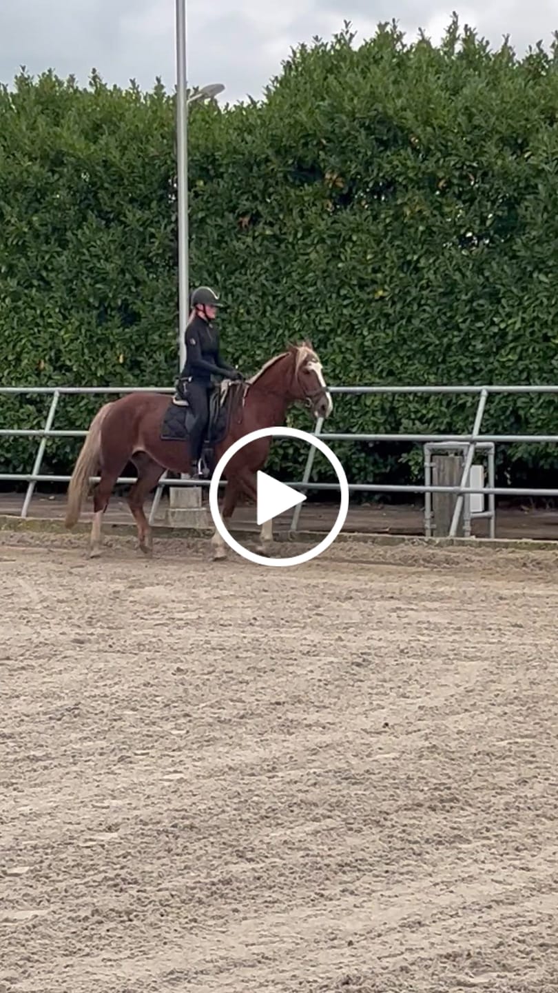 Customer video review of KYLIE - BASE LAYER LONG SLEEVE | BLACK ROSE GOLD