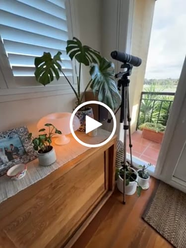 Customer video review of Puffball Lamp | Snow White