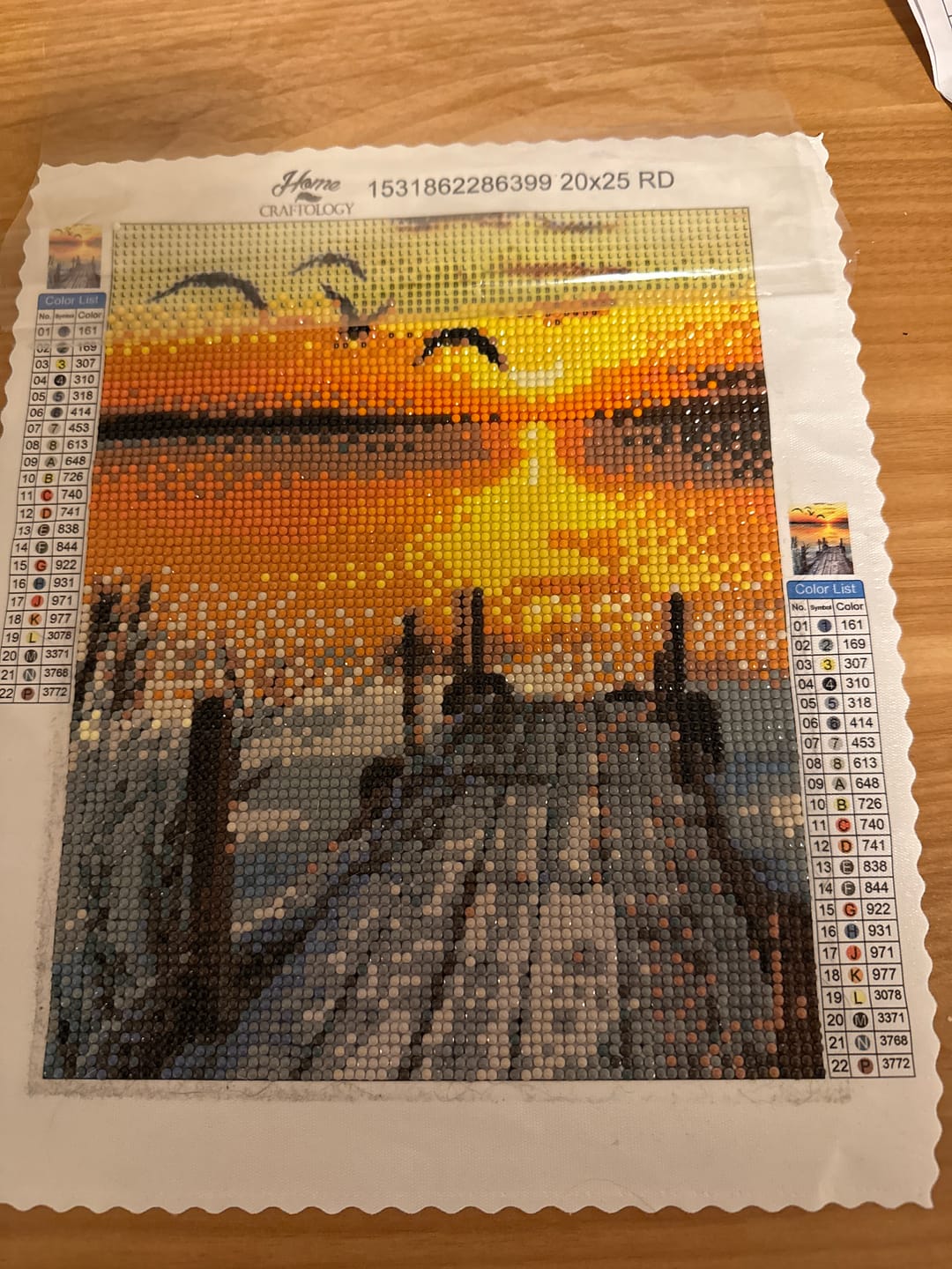 Customer photo review of Birds and Sunset - Premium Diamond Painting Kit