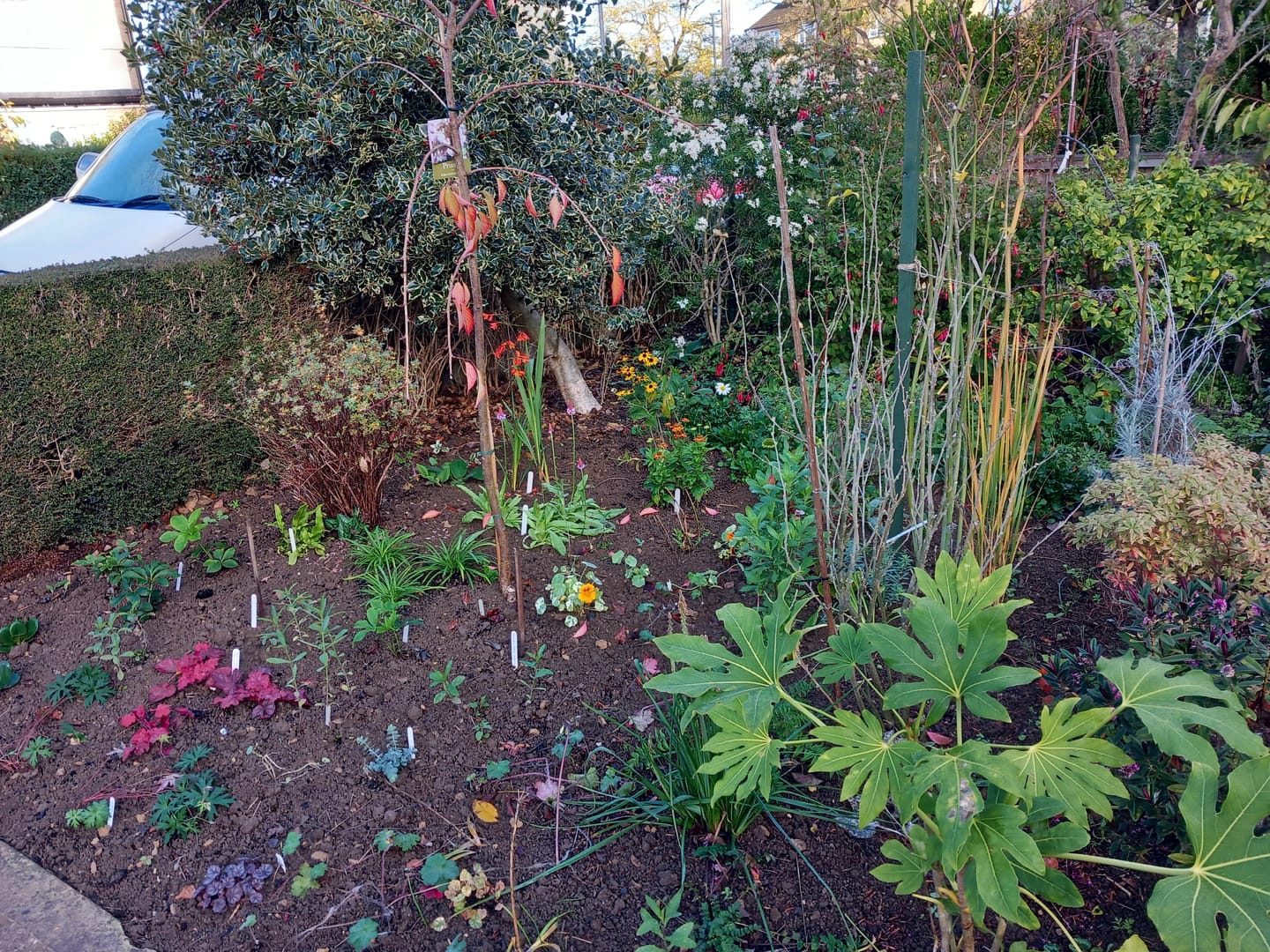Customer photo review of Buy 4 bags of Compost and get a Pouch of Feed for FREE!