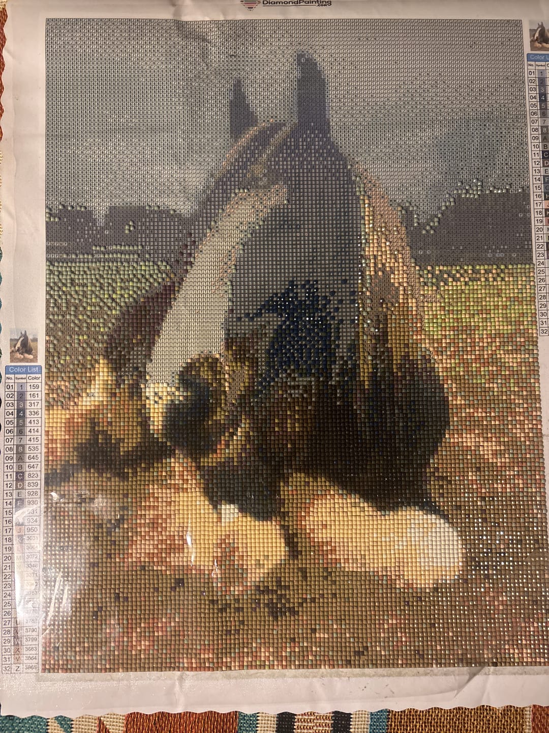 Customer photo review of Custom Diamond Painting Kits - Upload Any Image - Create Your Own