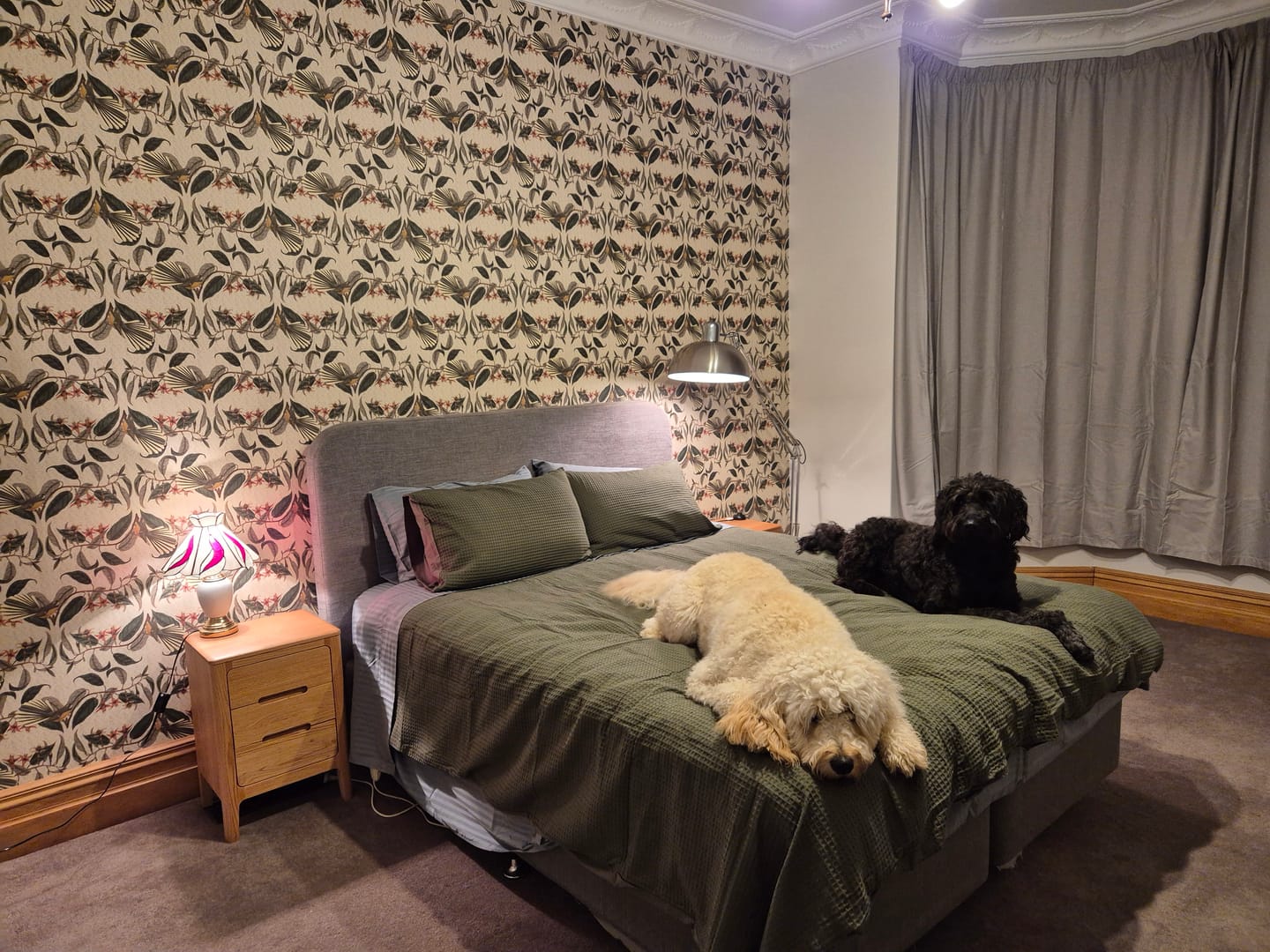 Customer photo review of Retro Fantail NZ Inspired Wallpaper - Buff