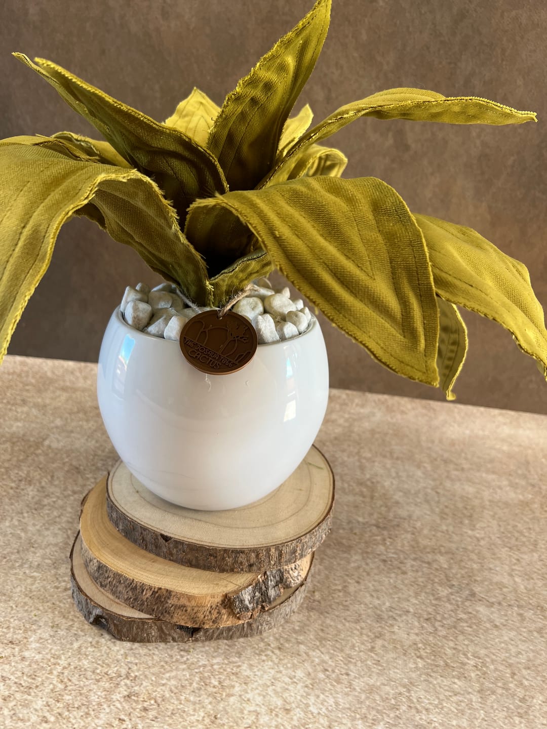 Customer photo review of Agave