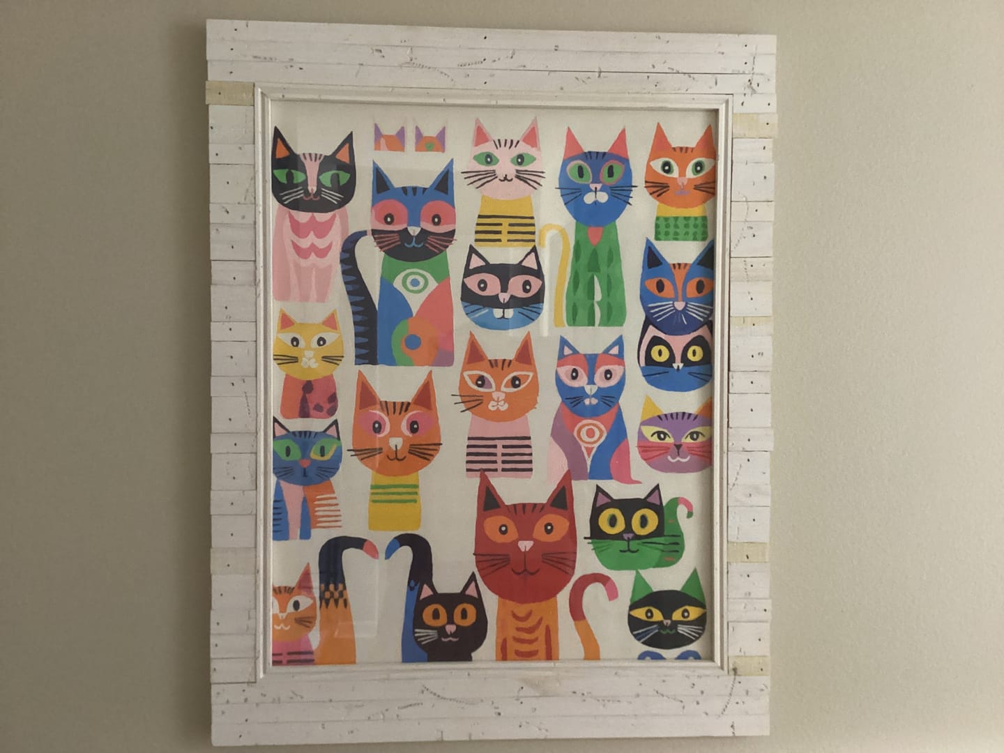 Customer photo review of Cat Collection
