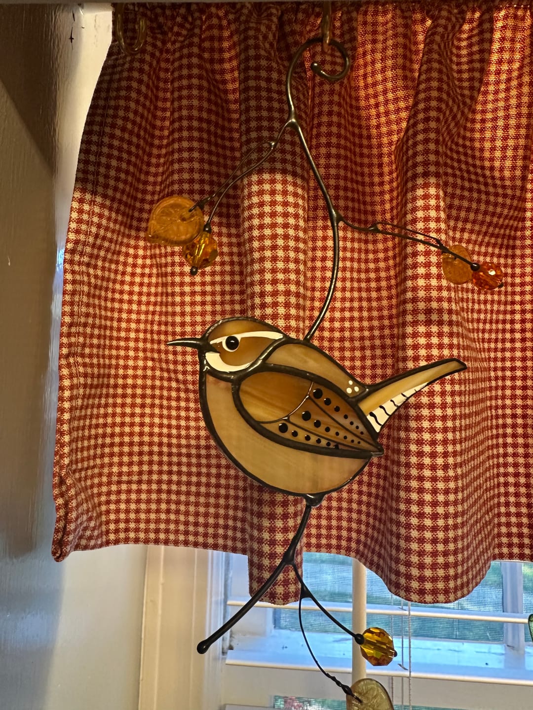 Customer photo review of Carolina Wren