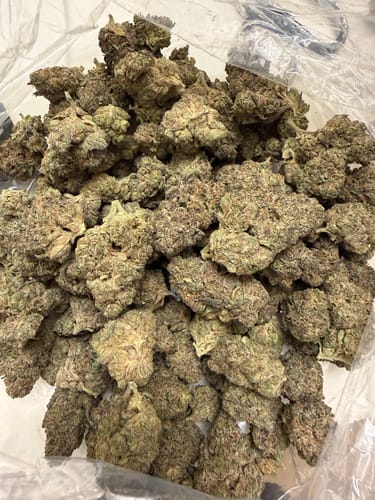 Customer photo review of Oreoz - Bulk - Indica