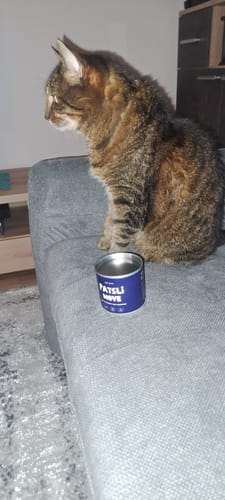 Customer photo review of Patsli Move