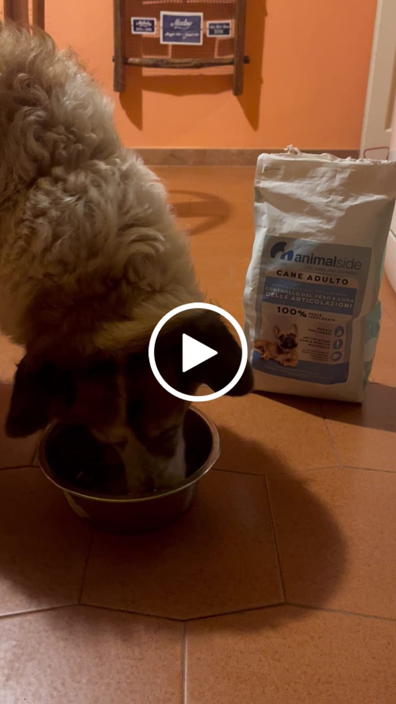 Customer video review of Crocchette Controllo del Peso e Articolazioni al Pesce Bianco - Cane Adulto - Proteine idrolizzate - Grain Free