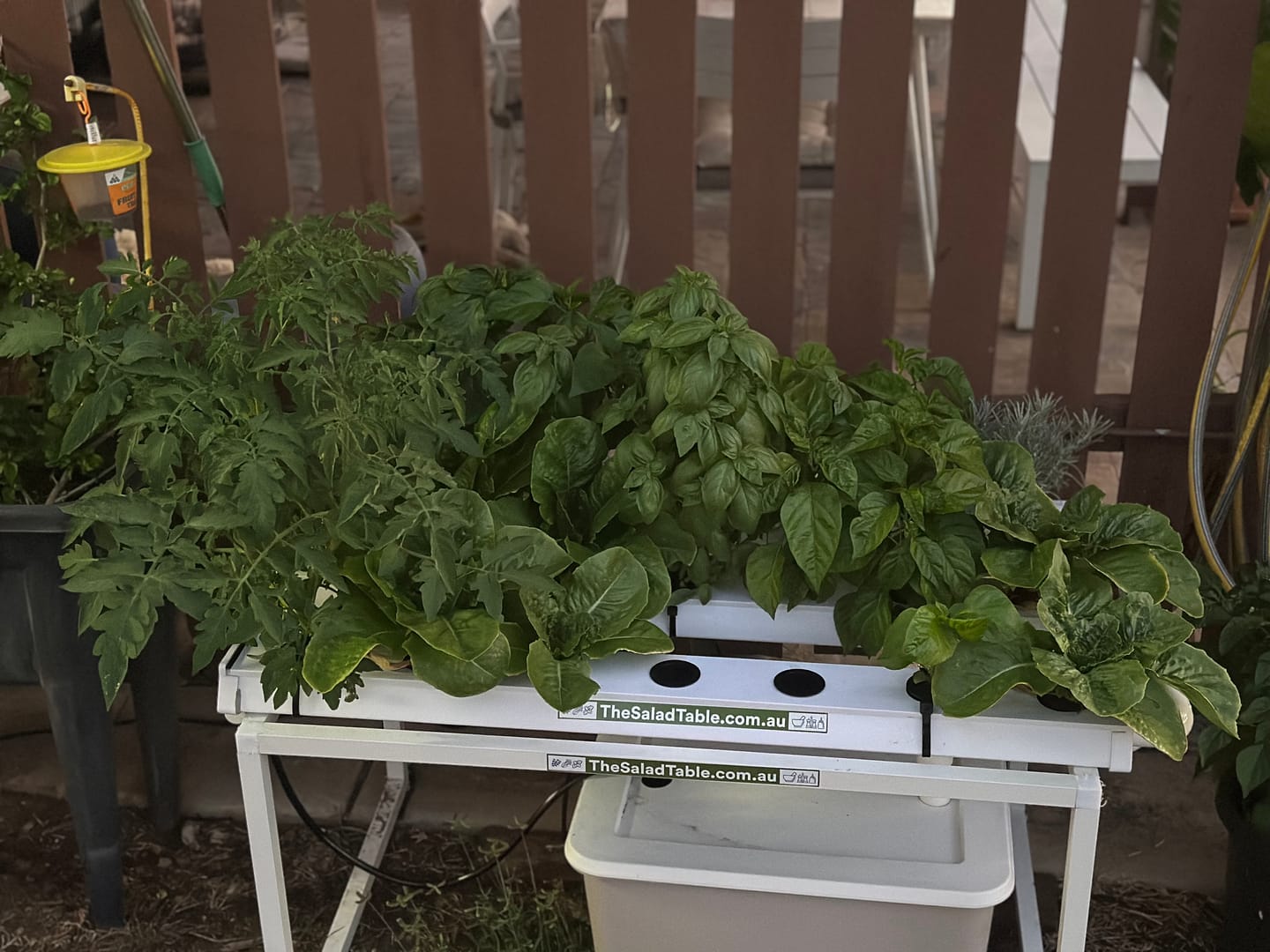 Customer photo review of The Small Salad Table