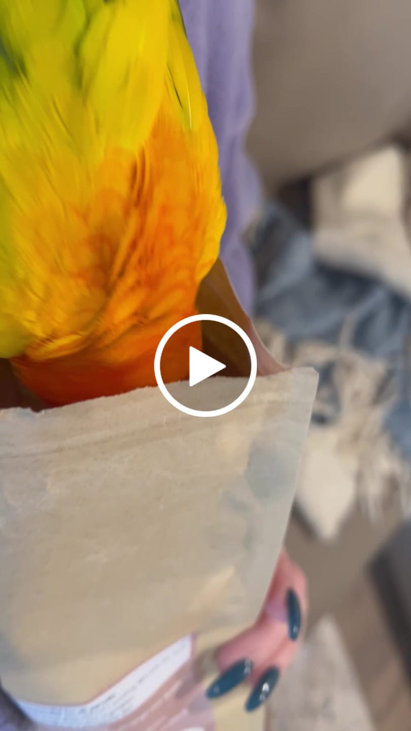 Customer video review of Bird Bites Freeze Dried Chop - Daily Fruits & Veggies, 5 Flavors to Choose From