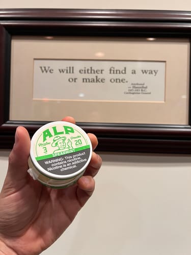 Customer photo review of Spearmint Nicotine Pouches