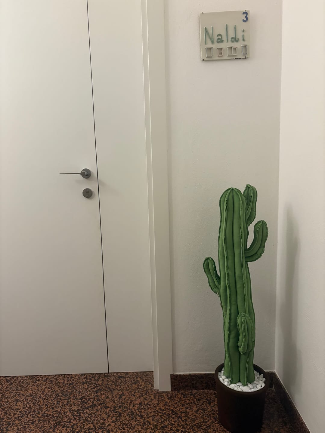 Customer photo review of Big cactus in velluto verde avocado altezza 98 cm ATTUALMENTE ESAURITO MA SARA' DI NUOVO DISPONIBILE SU PRENOTAZIONE
