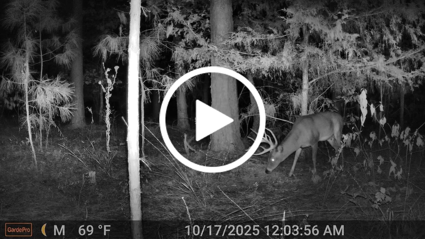 Customer video review of GardePro E8 2.0 Pro Wi-Fi Trail Camera