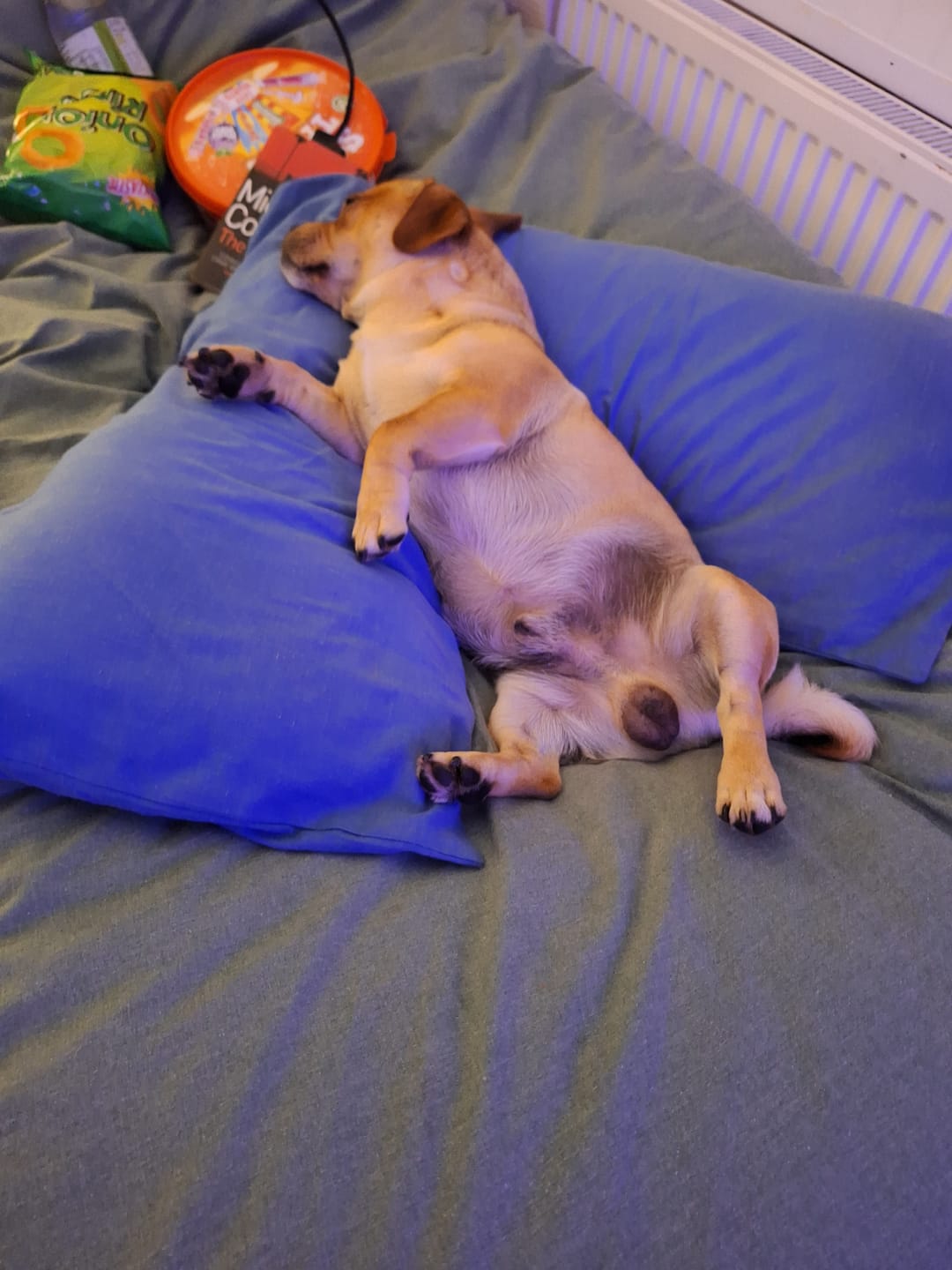 Customer photo review of MultiProtein Dry Puppy Food